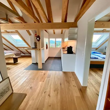 Cosy 1-bedroom Rooftop Gossau (St. Gallen)